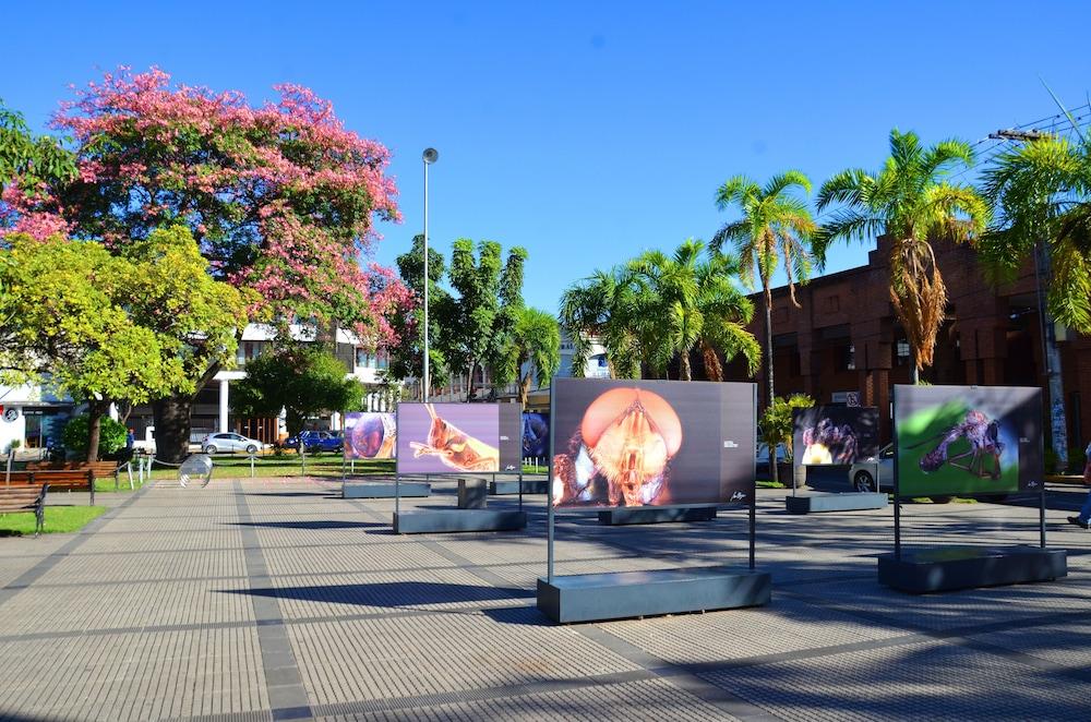 Hotel Senses Boutique Plaza Santa Cruz de La Sierra